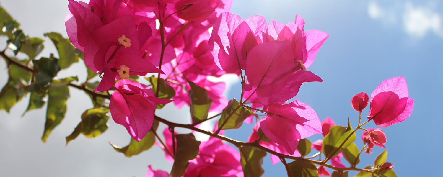 Dress it up – En blog for kjole- og strik elskere!